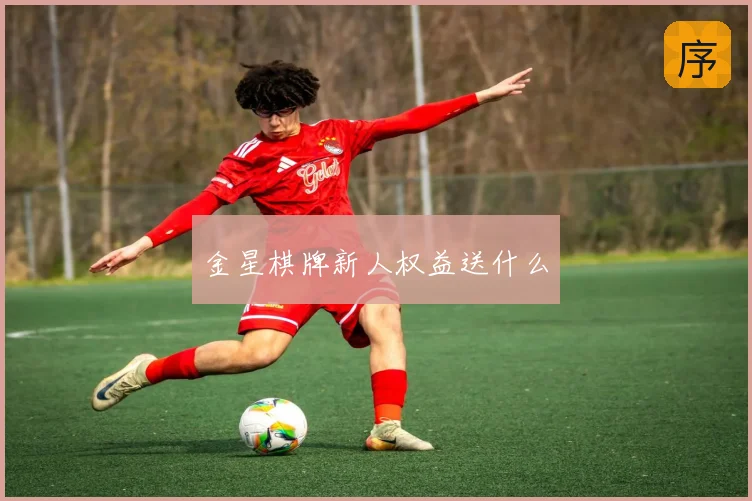 金星棋牌新人权益送什么